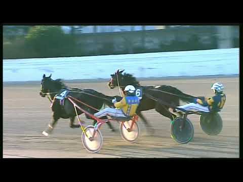 Trotto 07/02/2020 - 5ª corsa