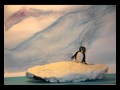 Pingu 123