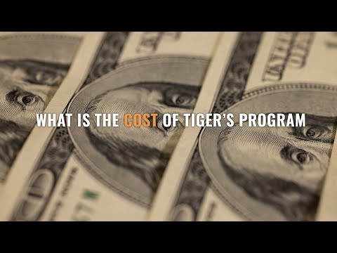 What is the Cost of Tiger’s Personalized Health Recovery Program