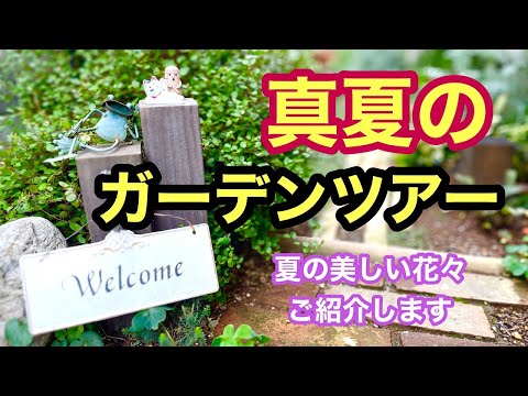 庭でターメリックを使用するにはどうすればよいですか？ 5つの意外な用途と植物への影響  庭園
