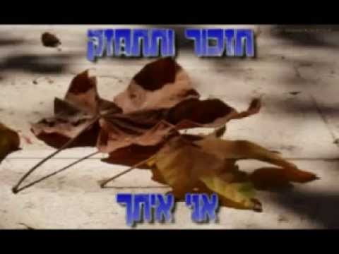 אברהם פריד עלה קטן שלי