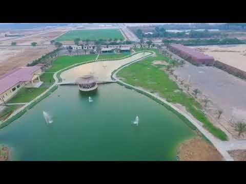 al hamad stud sky view 2