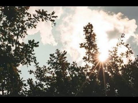 Pieces by Austin Farwell // Relaxing Piano  (Almost 1 Hour)