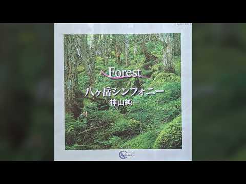 神山純一 Junichi Kamiyama - Forest 八ヶ岳シンフォニー[Full Album,2001]