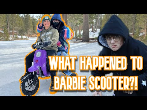 Who Stole Michael Reeves' Barbie Scooter?