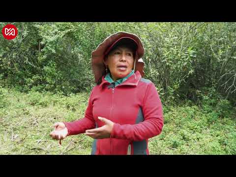 Persona desaparecida en Otavalo-Imbabura.
