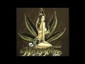 Genetikk - Gift ( D.N.A ) 