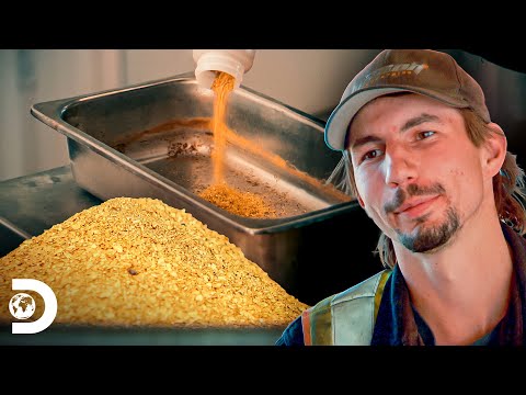 The moment of truth: the best gold weighings | Gold Rush | Discovery Brazil