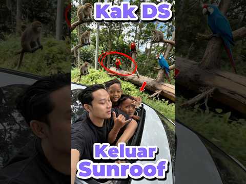 Kak DS keluar Sunroof #anakdesa #minivlog #comedy #sunroof #mobil