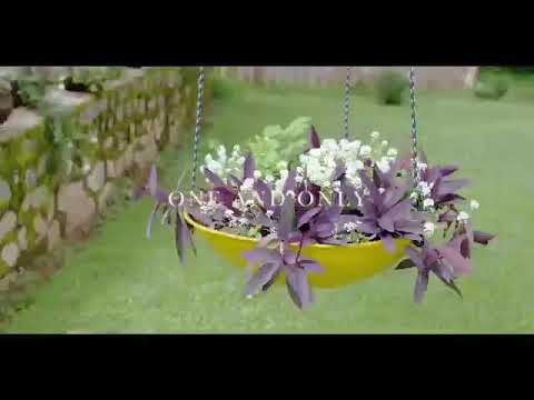 NEDY MUSIC FT RUBY ONE AND ONLY