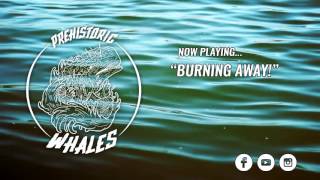 Prehistoric Whales - Burning Away! (HQ AUDIO)