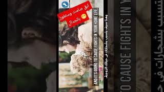 كيف تجعل أي شخص يرضخ لك
