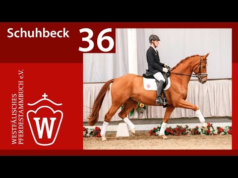 36 Schuhbeck Wallach v. Stoiber SN - FürstGrandios