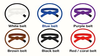 Every Jiu Jitsu Belt Explained In 15 Minutes