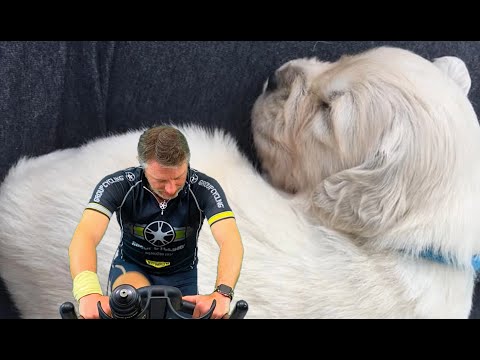 Trailer Special Experience n 19 Ettore: I miei primi 4 anni - Happy birthday - Indoor Cycling - GC