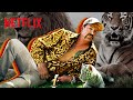 7 Unanswered TIGER KING Mysteries | Season 1 Recap | Netflix