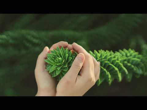 Sit in Mekaar se Stilte 179 - Die Liefde Bedek Alles