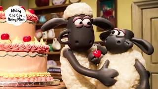 Download lagu HÃY CÙNG SHAUN VÀ TIMMY NHỎ BÉ BƯỚC VÀO NHỮNG CUỘC PHIÊU LƯU 🐑🍰✨😜 | SHAUN THE SHEEP TẤT CẢ CÁC MÙA 7 mp3 Download lagu HÃY CÙNG SHAUN VÀ TIMMY NHỎ BÉ BƯỚC VÀO NHỮNG CUỘC PHIÊU LƯU 🐑🍰✨😜 | SHAUN THE SHEEP TẤT CẢ CÁC MÙA 7 mp3