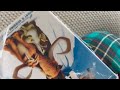 Ice Age DVD Unboxing