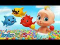 Baby Shark Learn Colors With Colorful BALLS Gumball Machine For Kids Kids Songs