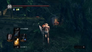 寄り道「ダークソウルリマスター」 DLCエリア　実況プレイpart 23