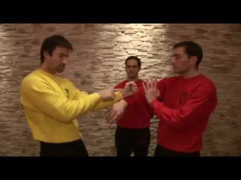 Preview: Sergio Iadarola - Chi Sao Section 2