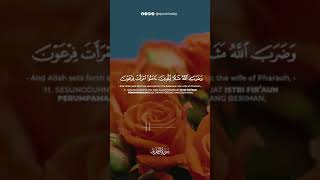 Download lagu Murattal Surah At-Tahrim Ayat 11 Qari Abu Abdillah mp3 Download lagu Murattal Surah At-Tahrim Ayat 11 Qari Abu Abdillah mp3