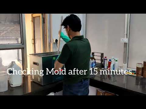 Ultrasonic Mold Cleaner