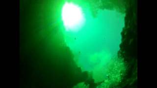 Diving Into Cruising - Troy Springs Dive