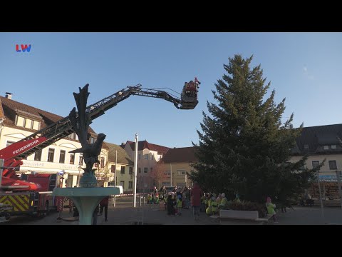 Elsterwerda: Weihnachtsbaumschmücken auf dem Marktplatz - LAUSITZWELLE