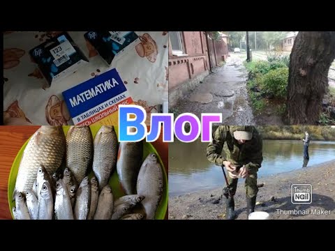 Новое семейное хобби / Заказ с ОЗОН / Дождливая погода / Влог