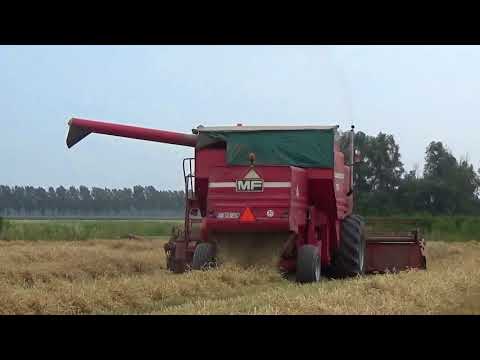 Landb. Vandierendonck - Westkapelle - Massey Ferguson 760