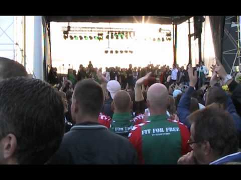 John van den Brom: "Famous Last Words"