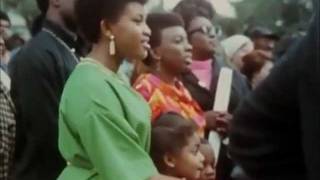 Black Panthers Revolution ( VF )  1/2