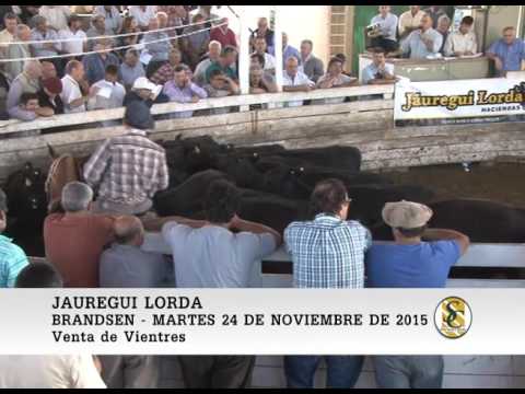 24-11-15 Venta de Vientres - Jauregui Lorda - Brandsen.