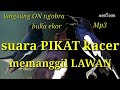 Suara PIKAT Kacer Memanggil Lawan Langsung ON Ngobra Buka Ekor Konslet Mp3