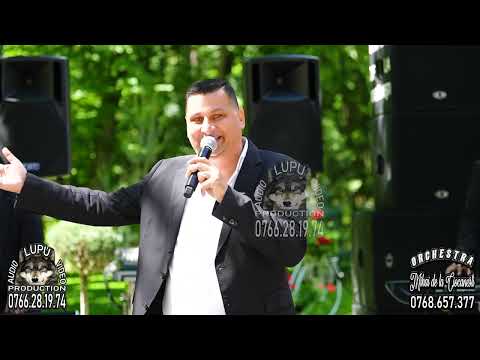 Mihai de la Ciocanesti - Are tata pui de brad - 2025 (Cover Ianos Prahoveanu)