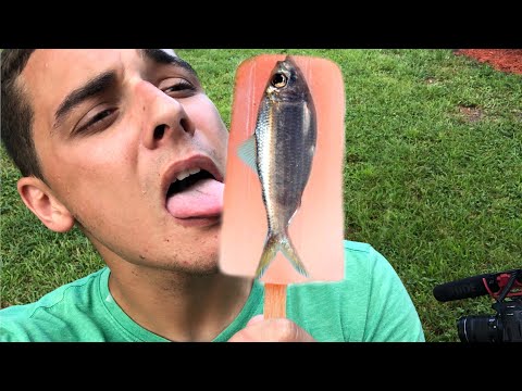 FISH Popsicle ARE EXTREMELY GROSS!!