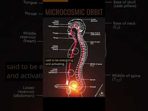 The Microcosmic Orbit 💫 Sexual Energy Circulation 🔥💥