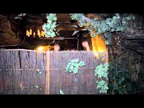 Schiffie & Co. - Bijna beroemd [Schiffie Stijl] - (DJ Alive Party-Mix) - VIDEO-CLIP