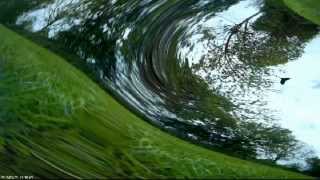 Sur son arbre perché Mr Corbeau avait un drone dans son bec