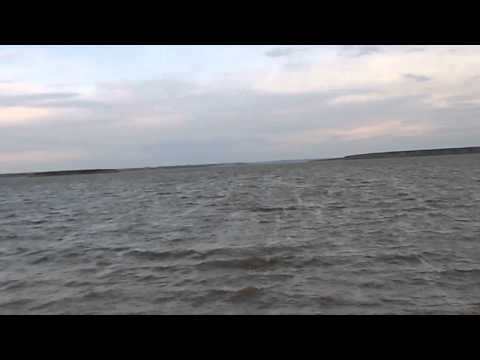 Marea Mostistea - Balta Faurei