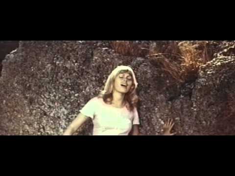 Бывает так -  Солнце,снова Солнце