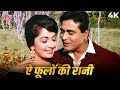 Ai Phulon Ki Raani Bahaaron Ki Malikaa 4K Song Arzoo 1965 Mohd Rafi Rajendra Kumar Sadhana