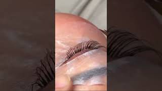 How to make layered grafted premade fan lashes?Eyelash Extension Tutorial (Volume Lashes) #lashes