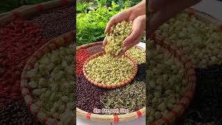 Đông trùng hạ thảo cho người cao tuổi lá phổi khỏe mạnh 🫁#queviet #tragaolutplus#tragaolutqueviet