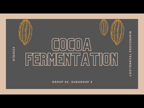 COCOA FERMENTATION