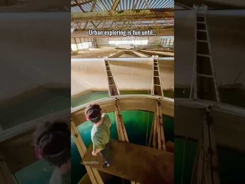 You think they’re friendly? (squatters encounter)