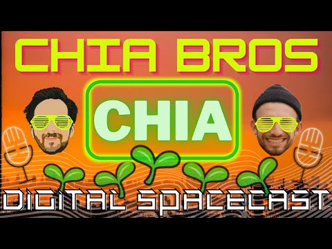 , title : 'Chia Bros Chat - Chia Plot Format 2.0, Replotting, Chia Friends vs Foes, Garage Datacenter'