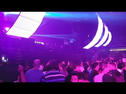 Arpegia y el In my dreams